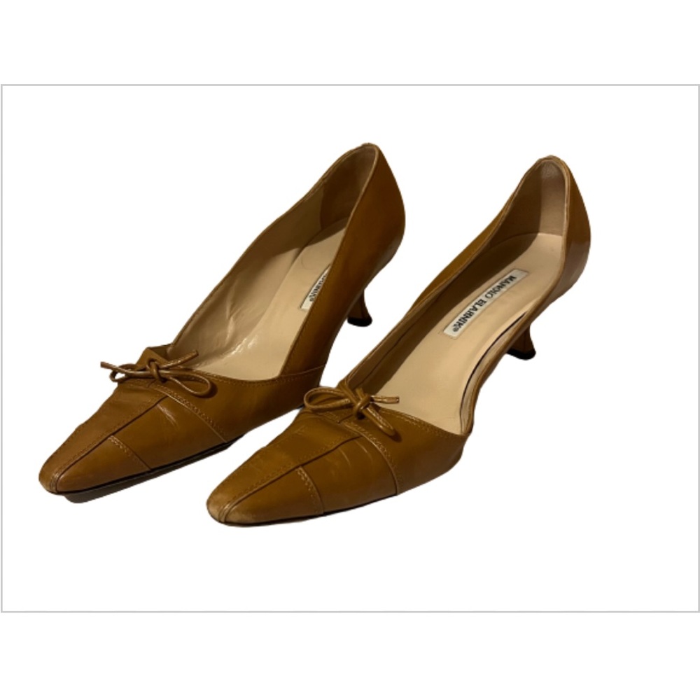 Manolo Blahnik Brown Heels with Pointed Toe and Low Slender Heel